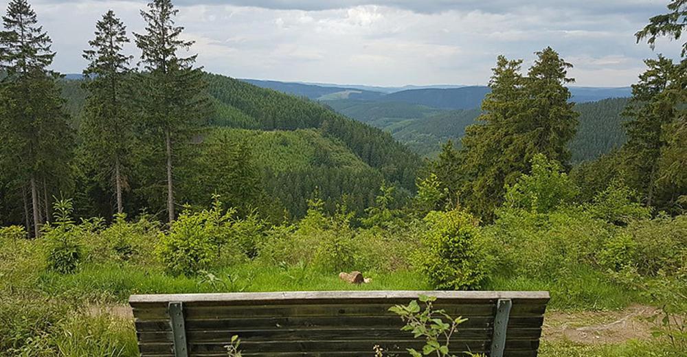 Ferienhaus Astenblick - Ideal Fuer Weihnachtsfeiern Und Familienfeiern Bietet Schlafplaetze Fuer Bis Zu 35 Personen Villa Winterberg Eksteriør billede